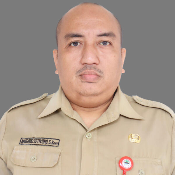 Anggoro Setiyono, S.Kom