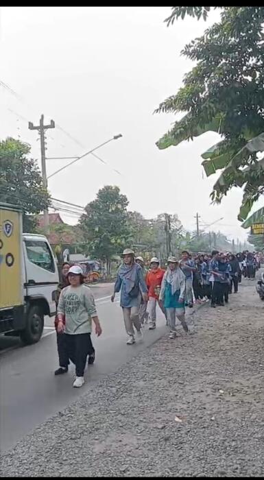 Jalan Sehat